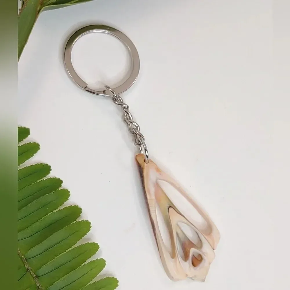 Seashell Keyring Slice Conch Seashell Clearwater Beach, Florida